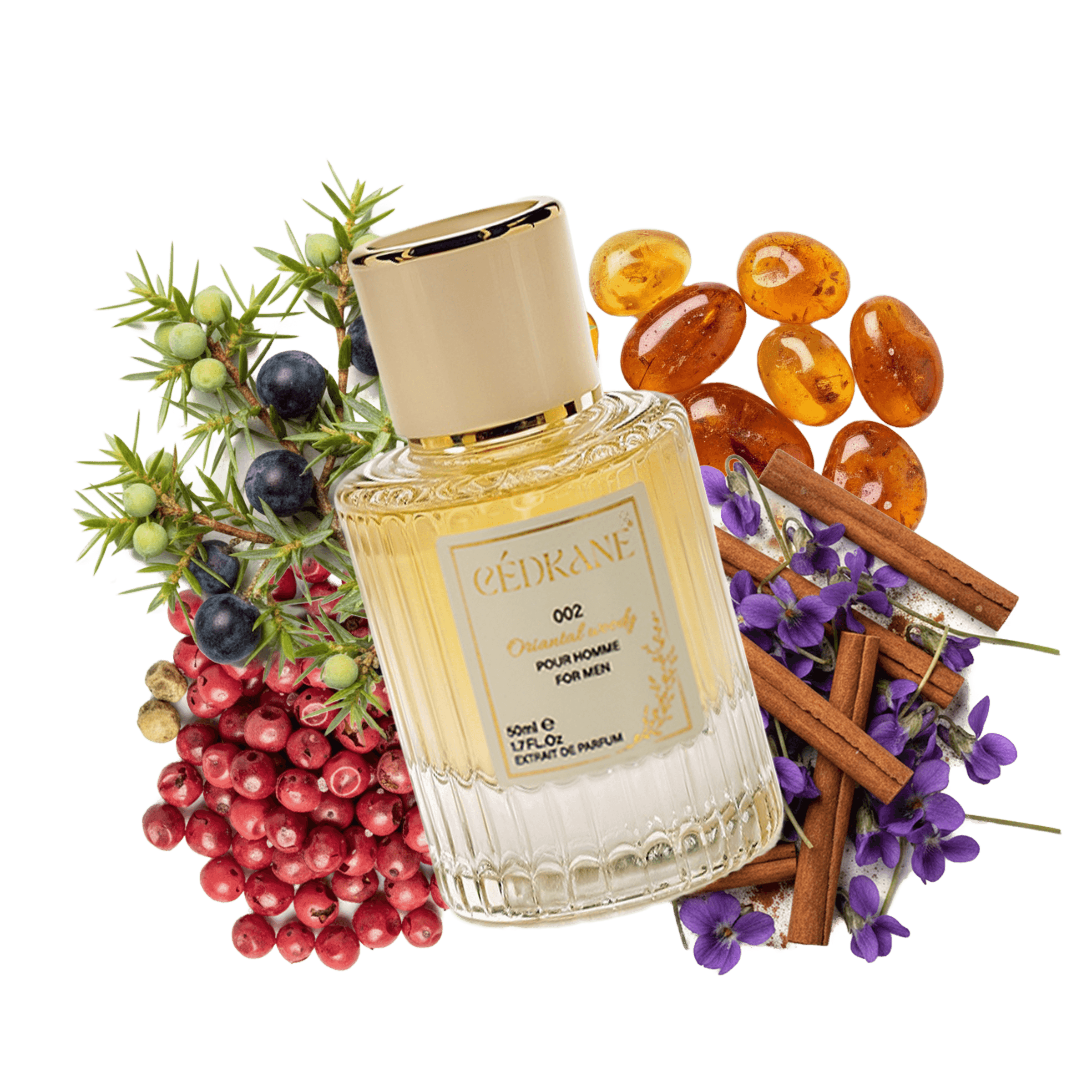 ORIANTAL WOODY EXTRAIT DE PARFUM 50ML