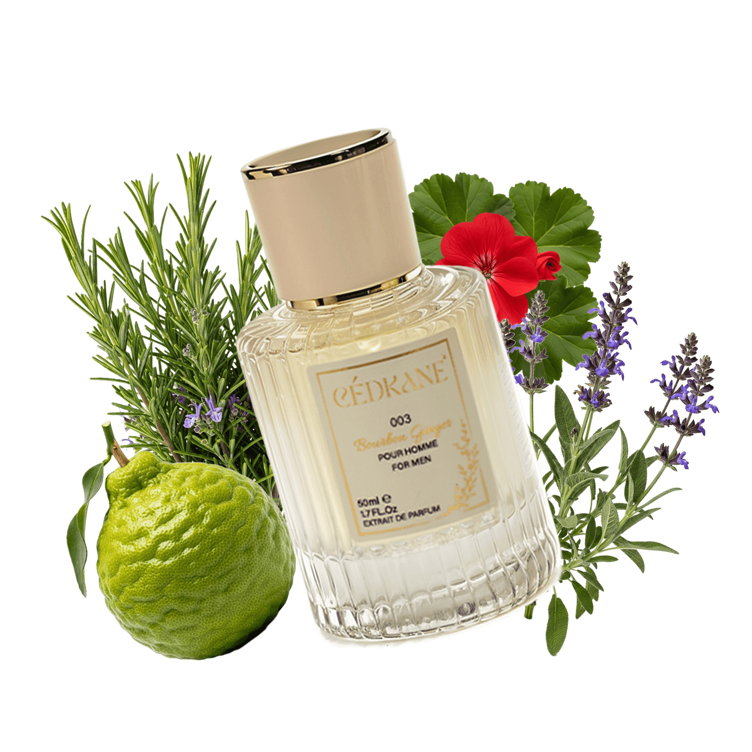 BOURBON GINGER EXTRAIT DE PARFUM 50ML