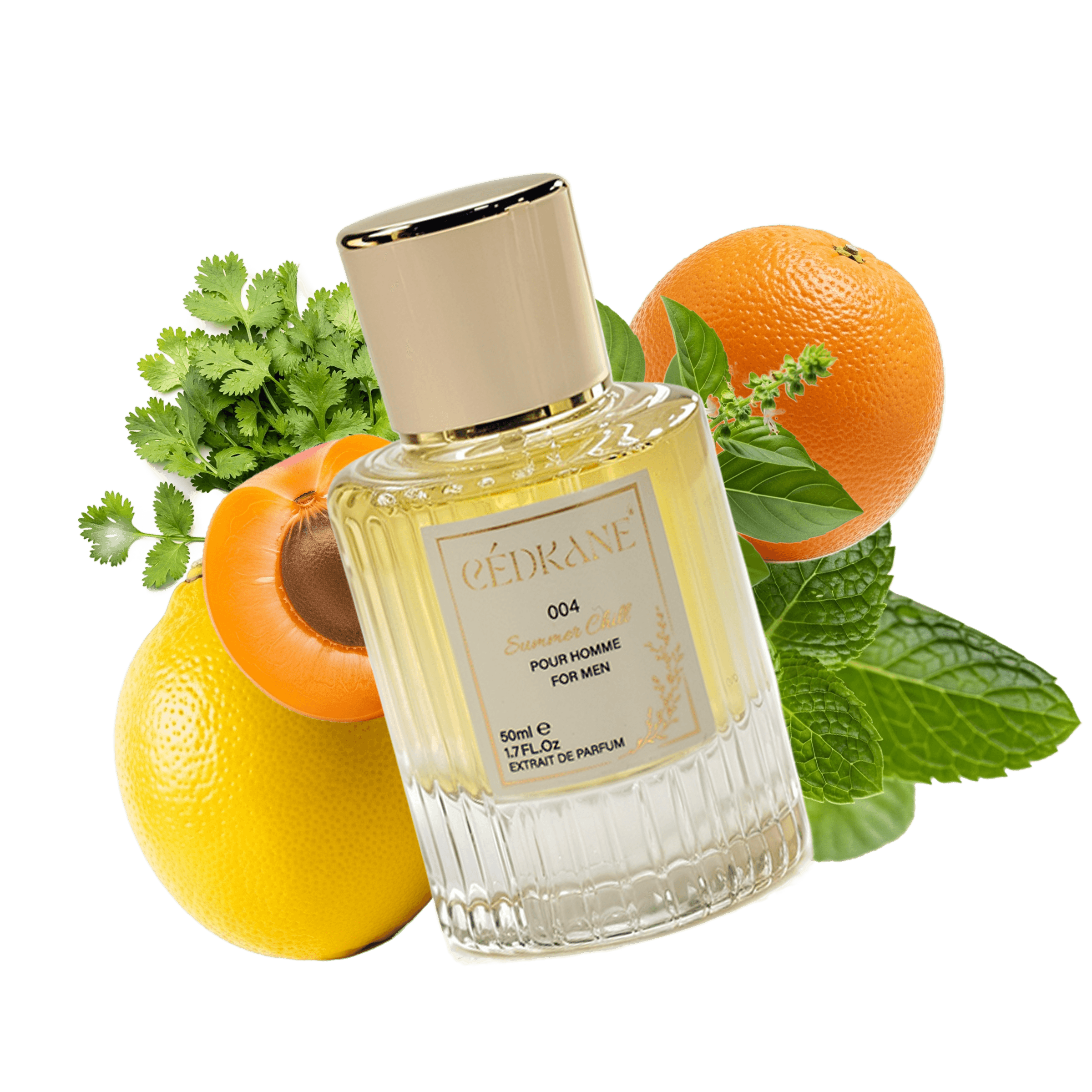 SUMMER CHILL EXTRAIT DE PARFUM 50ML