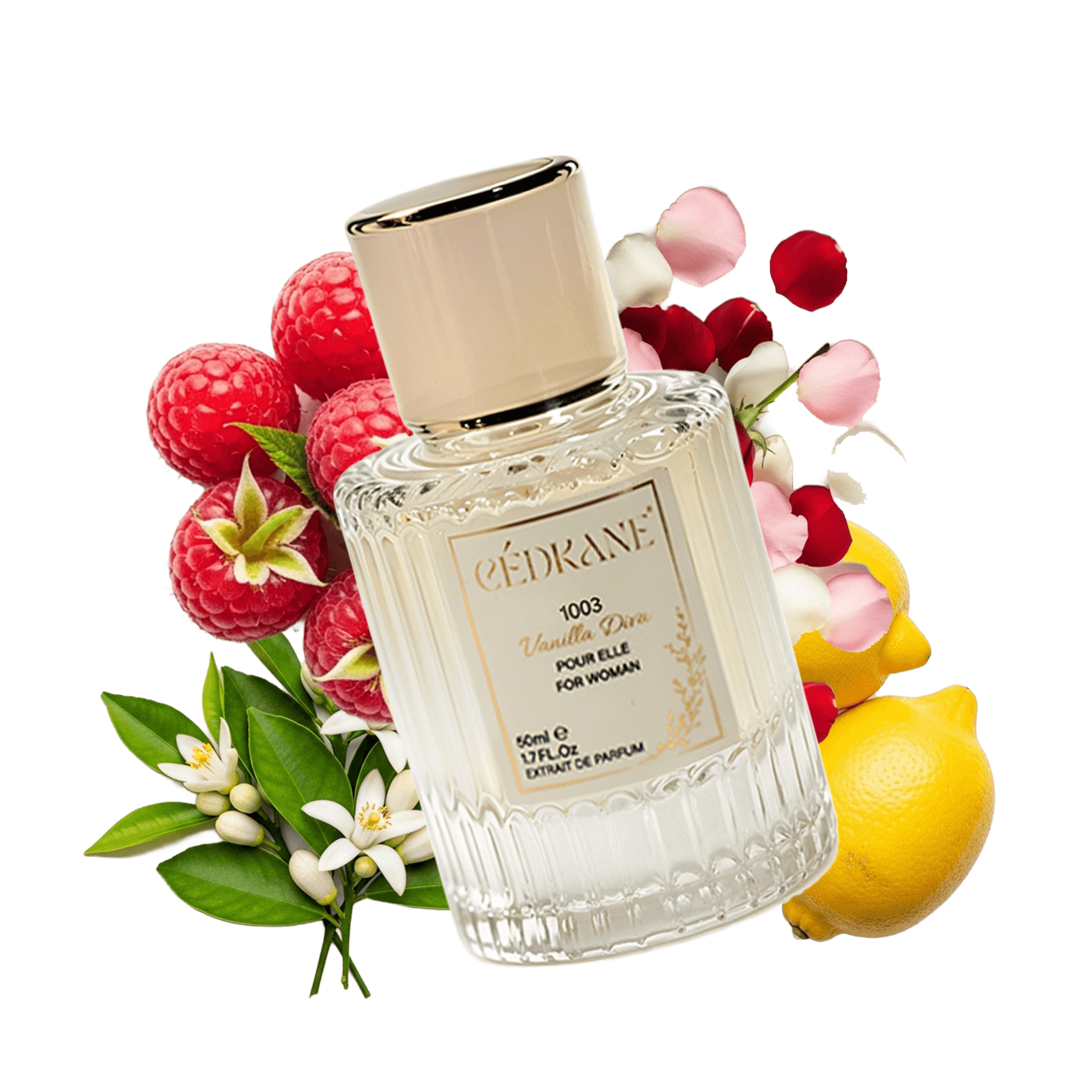 VANILLA DIVA EXTRAIT DE PARFUM 50ML